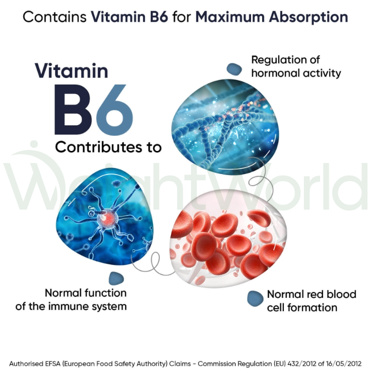 Marine Magnesium + Vitamin B6 Capsules 360mg 180 Capsules | For Energy, Strength & Relaxation