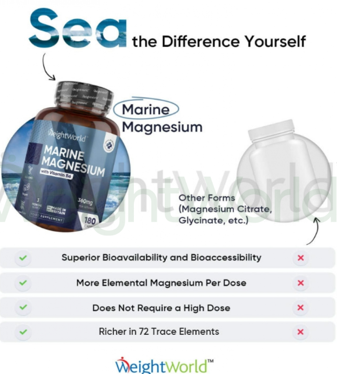 Marine Magnesium + Vitamin B6 Capsules 360mg 180 Capsules | For Energy, Strength & Relaxation