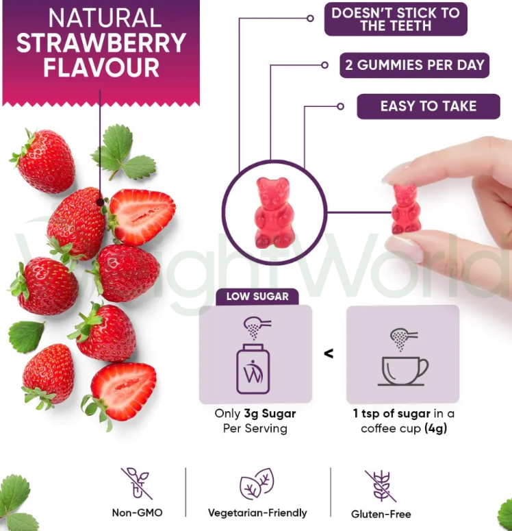 Adult Multivitamin Gummies 120 Gummies | For Optimal Overall Well-being