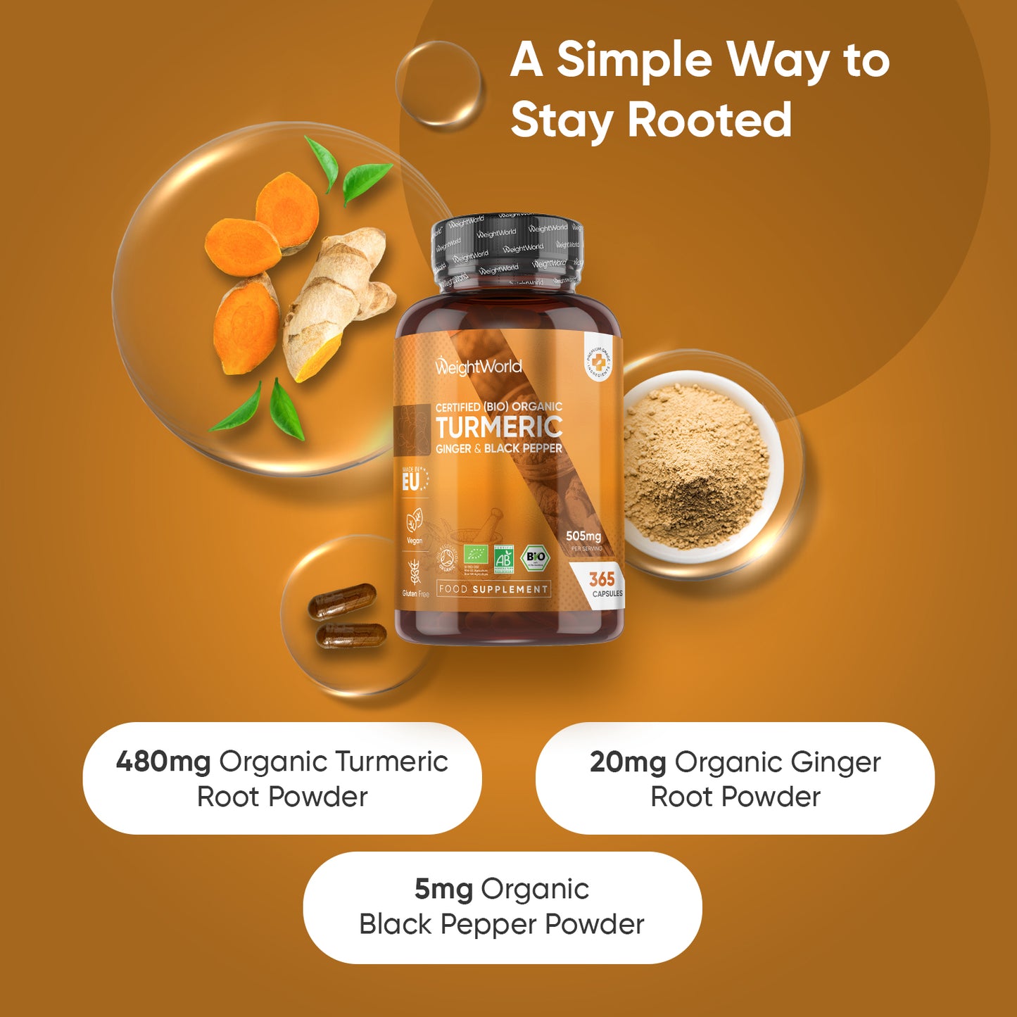 Organic Turmeric with Organic Black pepper and Organic Ginger 505mg 365 Capsules